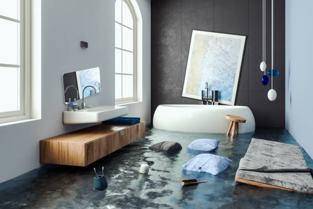 Best Emergency water damage restoration  in Sun Valley, NV