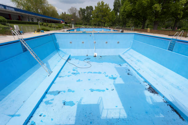Best Basement water damage restoration  in Sun Valley, NV