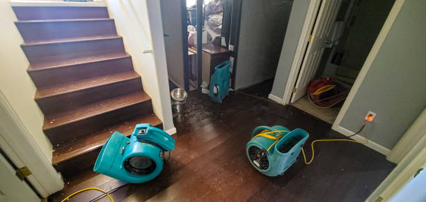 Best Mold removal after water damage  in Sun Valley, NV