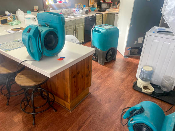 Local water damage restoration in NV