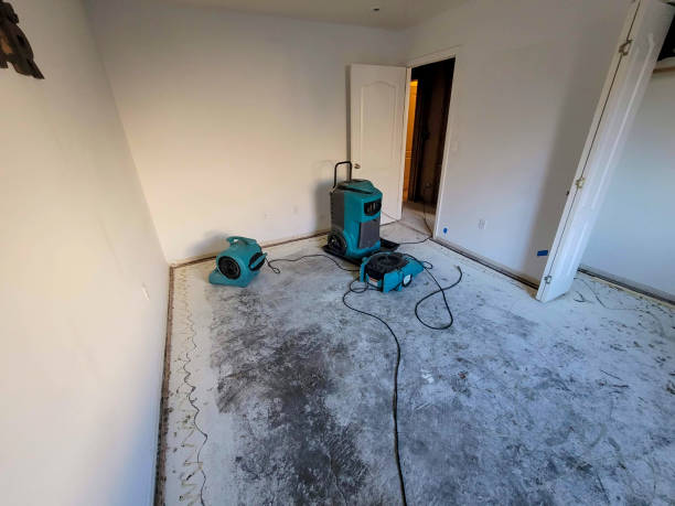 Best Emergency water damage restoration  in Sun Valley, NV