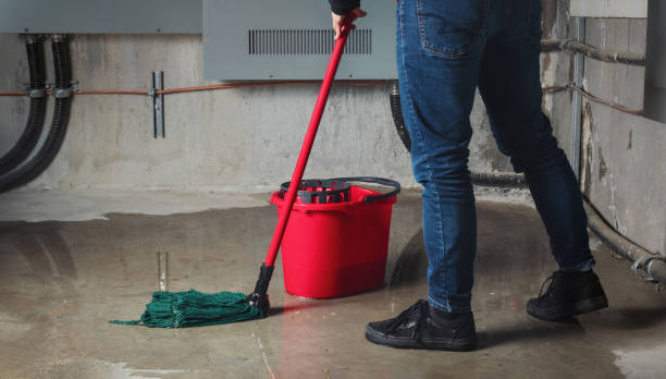 Best Water damage restoration insurance claims  in Sun Valley, NV
