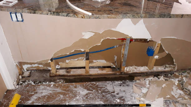 Best Fire Damage Restoration  in Sun Valley, NV