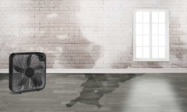 Water damage restoration insurance claims in NV
