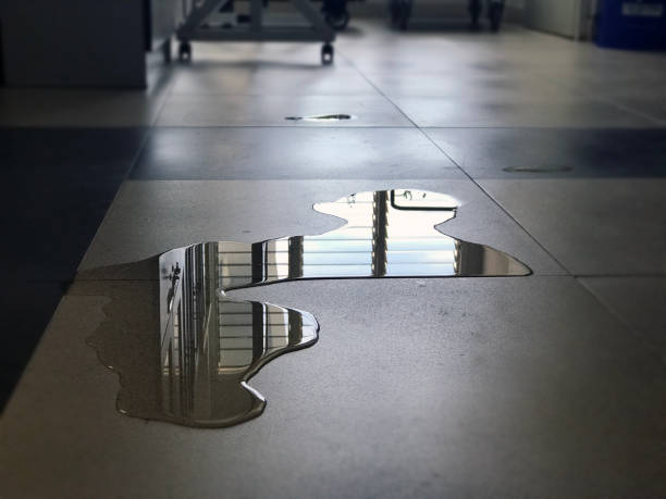 Best 24/7 water damage repair  in Sun Valley, NV