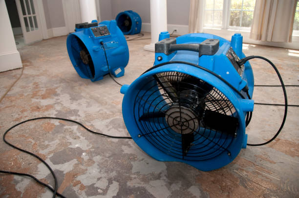 Best Water damage restoration services  in Sun Valley, NV