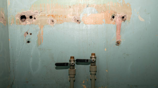 , NV Water damage restoration Company