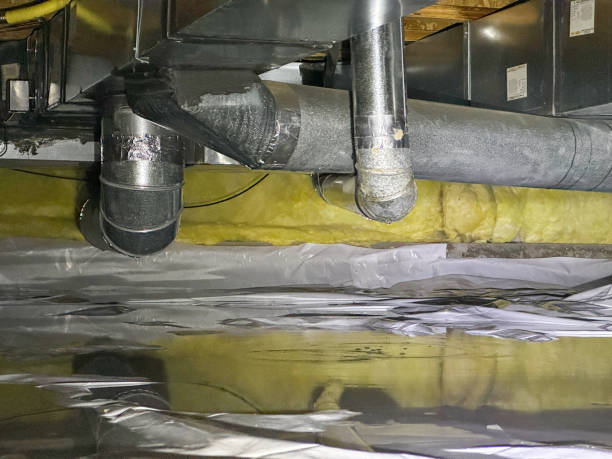 Best Flooded house restoration  in Sun Valley, NV